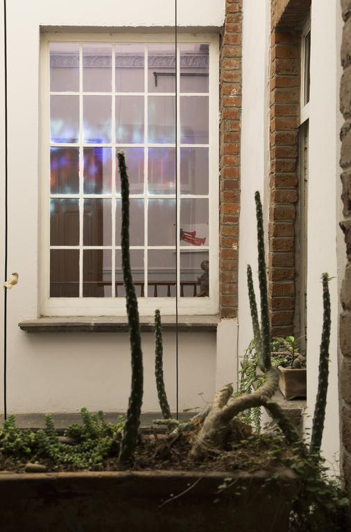 El Patio 77 B&B Meksika Dış mekan fotoğraf