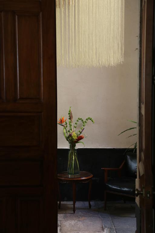 El Patio 77 B&B Meksika Dış mekan fotoğraf