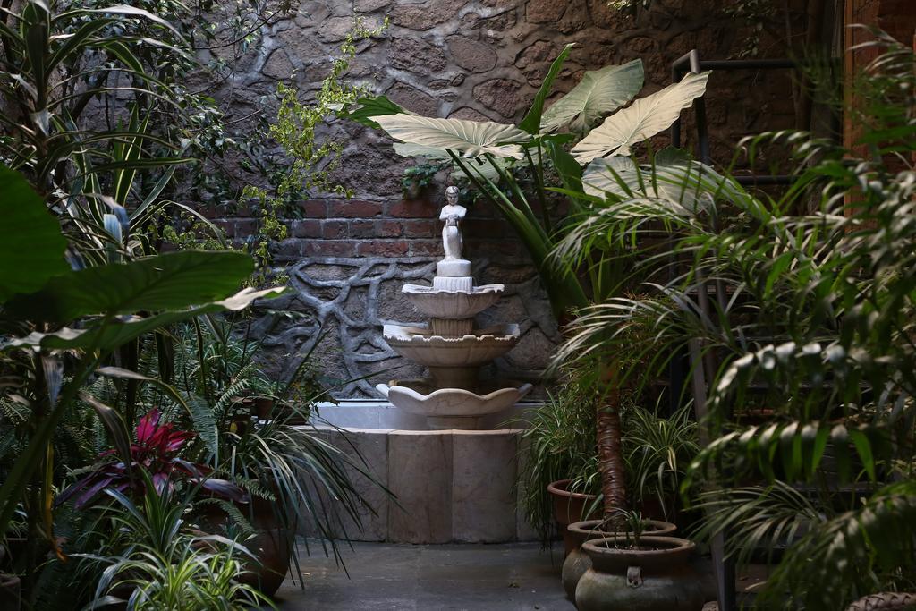 El Patio 77 B&B Meksika Dış mekan fotoğraf